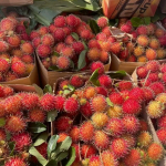 Cung Cấp Chôm Chôm Giá Sỉ - Trái Cây Tươi Ngon Từ Vườn