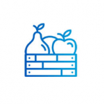 CHUYÊN THU MUA TRÁI CÂY XUẤT KHẨU