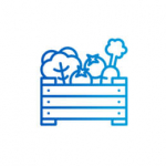 XUẤT KHẨU TRÁI CÂY CHÍNH NGẠCH