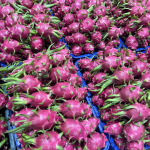 Vựa Thanh Long Xuất Khẩu - Thanh Trung Fruits