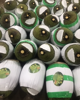 Xuất khẩu mít thái miền nam