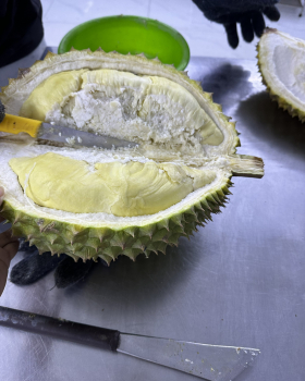 Test chất lượng sầu riêng