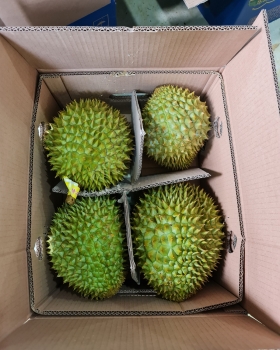 Hình ảnh đóng gói sầu riêng, phân loại