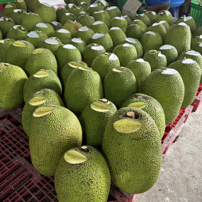 Mít Thái - vựa mít Long Khánh