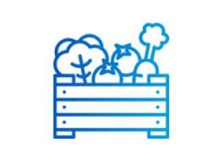 XUẤT KHẨU TRÁI CÂY CHÍNH NGẠCH