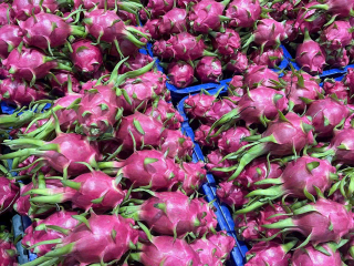 Vựa Thanh Long Xuất Khẩu - Thanh Trung Fruits