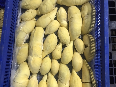 Sầu riêng tách múi cấp đông xuất khẩu