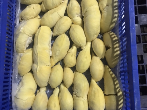 Sầu riêng tách múi cấp đông xuất khẩu