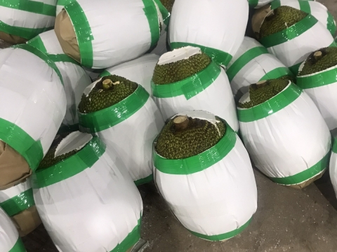 Xuất khẩu mít thái miền nam