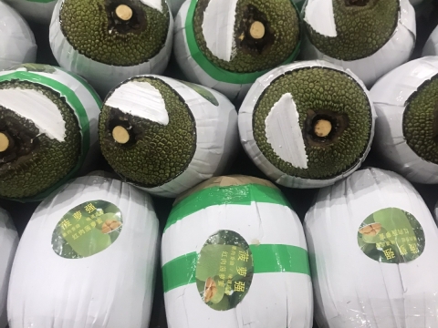 Xuất khẩu mít thái miền nam