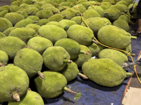 Một số loại trái cây khác