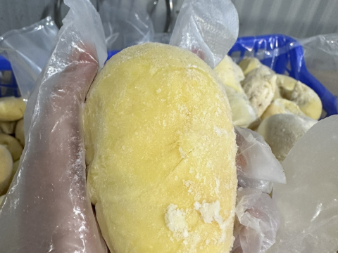 Sầu riêng cấp đông xuất khẩu