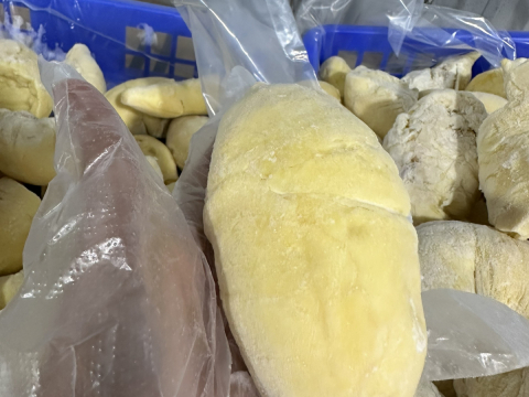 Sầu riêng cấp đông xuất khẩu