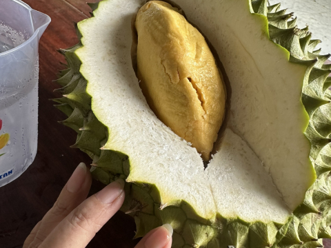 Test chất lượng sầu riêng