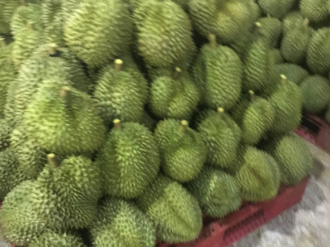 Thu mua sầu riêng tận vườn