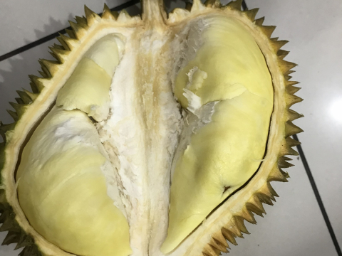 Test chất lượng sầu riêng