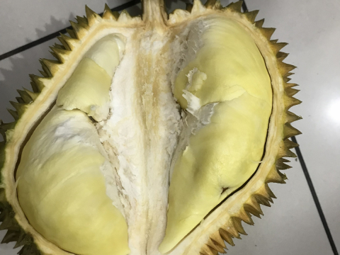 Test chất lượng sầu riêng