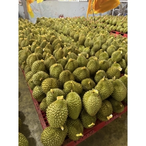 vựa sầu riêng xuất khẩu miền đông - vựa sầu riêng miền đông