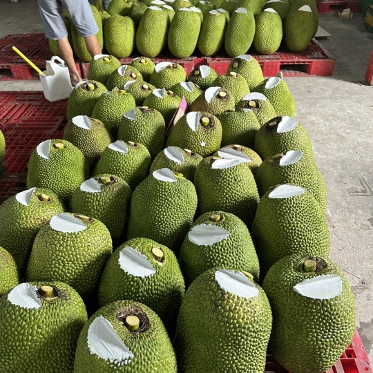 Mít Thái - vựa mít Đồng Nai