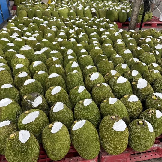 Mít Thái da xanh - vựa mít Tiền Giang