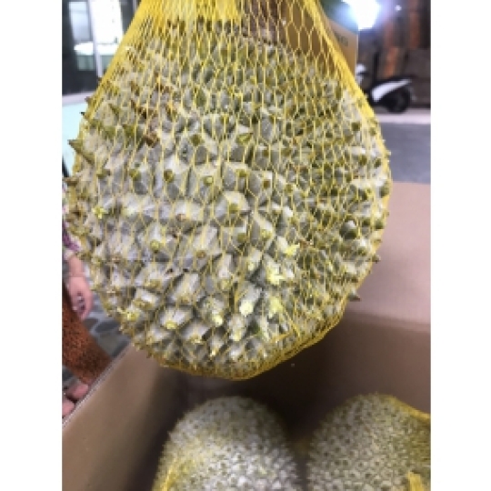 Sầu Riêng Cấp đông